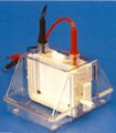 Mini Dual Vertical Electrophoresis Units